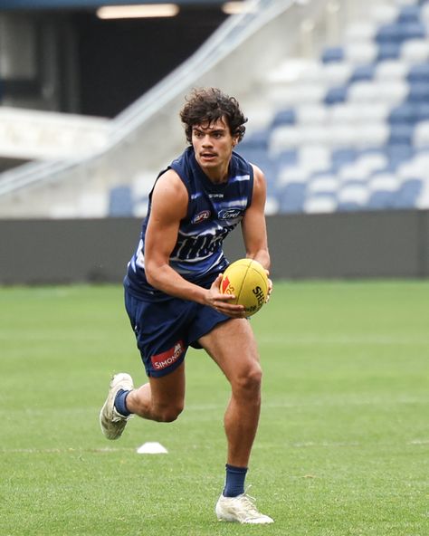 Geelong Cats, Back To Work, To Work, Bulldog, Quick Saves, Instagram