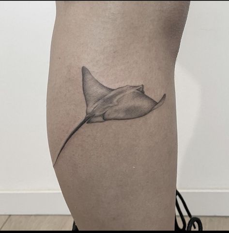 Realistic Stingray Tattoo, Sea Ray Tattoo, Wide Tattoo, Floral Stingray Tattoo, Stingray Tattoo Thigh, Stingray Tattoo Simple, Minimalist Manta Ray Tattoo, Stingray Sternum Tattoo, Manta Ray Chest Tattoo