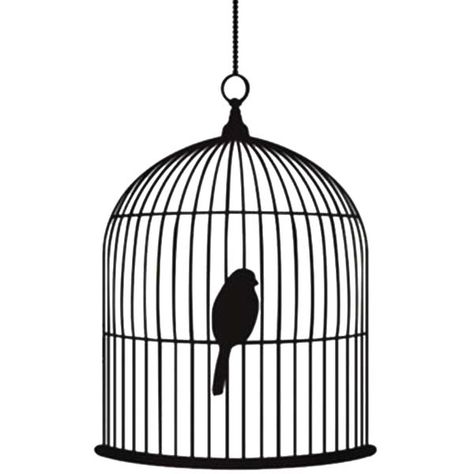 Bird Sleeping, Bird Painting Diy, Bird Cage Design, Tiny Bird Tattoos, Phoenix Bird Tattoos, Bird In A Cage, Cage Tattoos, Canary Birds, Large Bird Cages