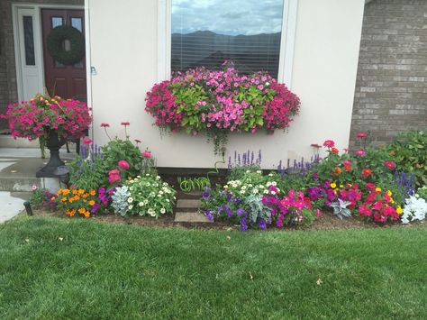 Colorful summer. State Fair Zinnia, supertunias, salvia, petunia, zinnia, marigolds, lantana, dusty Miller, sweet potato vine. 2015 Zinnia Flower Bed Ideas, Marigolds And Petunias, State Fair Zinnias, Zinnia Senora, Petunia Companion Plants, Zinderella Lilac Zinnia, Front Yard Flowers, Garden Mulch, Zinnia Garden