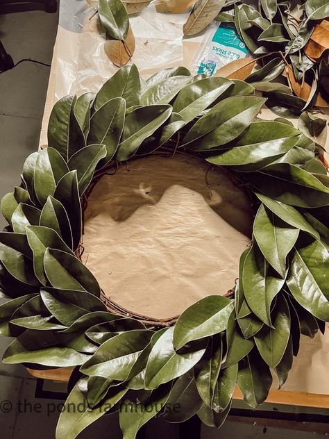 How To Make Magnolia Wreath, Christmas Magnolia Decor, Fresh Magnolia Wreath Diy, Magnolia Wreaths Diy, Diy Magnolia Wreath Real Leaves, How To Make A Magnolia Leaf Wreath, How To Dry Magnolia Leaves, Magnolia Leaf Wreath Diy, Magnolia Leaf Christmas Decor