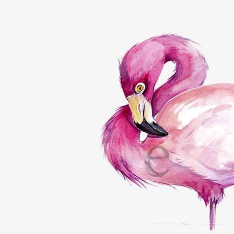 Flamingo Art, Art Animals, Arte Animal, Watercolor Inspiration, Watercolor Bird, Pink Flamingo, Wild Life, Watercolor Animals, Pics Art