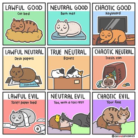 By Cat & Cat Comics Character Alignment Charts, Alignment Charts Funny, Cold Meme, Character Alignment, Alignment Charts, Alignment Chart, Dnd Memes, Cat Things, Artificial Christmas Garland