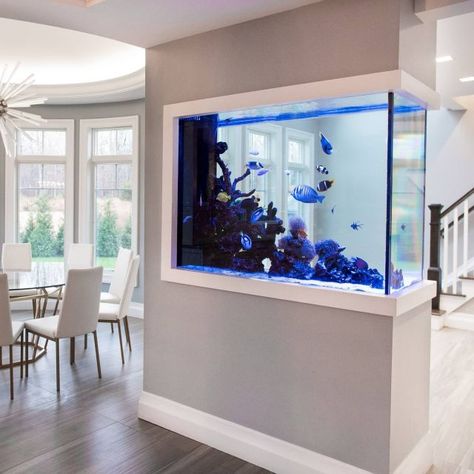 Aquarium In The Wall, Basement Fish Tank Ideas, Home Office Aquarium, Fish Tank In House Living Rooms, Custom Aquarium Ideas, Wall Fish Tank Ideas, Modern Fish Tank Ideas Living Rooms, Built In Fish Tank Wall, Fish Tank In Living Room