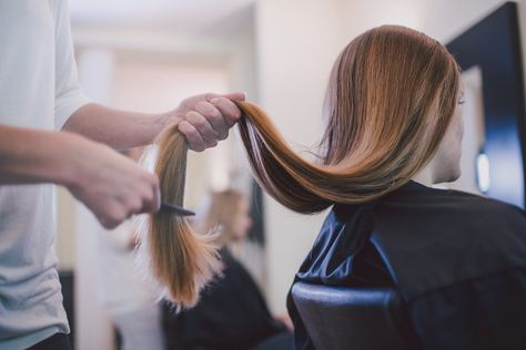 20 Common Hair Myths That Are Ruining Your Hair Hair Myth, Hair Facts, Split Hair, Hair Artist, Kevin Murphy, Grow Hair Faster, Celebrity Hair Stylist, Oily Hair, Hair Dresser