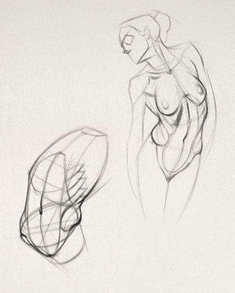 Some dynamic torso anatomy sketches using robo beans and buckets. From my Anatomy course over at Proko. Torso Anatomy, Drawing Basics, Human Anatomy Drawing, Human Anatomy Art, Anatomy Sketches, Anatomy For Artists, Figure Sketching, Bones And Muscles, Gesture Drawing