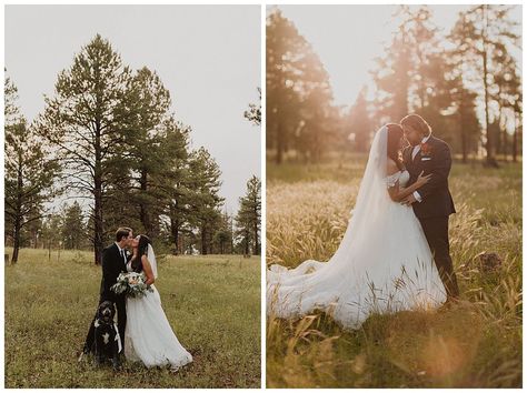 This enchanted forest wedding venue is located in Aldea in the Woods in Arizona. This venue provides a soft, romantic, fantasy forest wedding in the mountains. If you're looking for a woodsy outdoor wedding, this northern Arizona wedding venue is one of the best! The scenery, atmosphere, and location couldn't be beat. This is also a great destination wedding if you're looking to have a more rustic, intimate outdoor wedding. Read the blog to learn more about this Flagstaff venue. Enchanted Forest Wedding Venue, Fantasy Forest Wedding, Weddings In The Woods, Papaya Photography, Desert Wedding Decor, Forest Wedding Venues, Flagstaff Wedding, Forest Wedding Venue, Intimate Outdoor Wedding