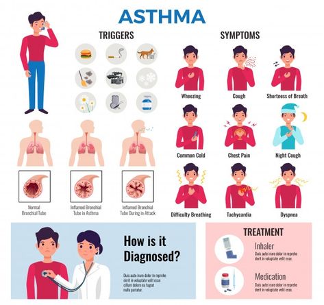 Disease Infographic, Home Remedies For Asthma, Flat Infographic, Asthma Remedies, Human Lungs, Asthma Inhaler, Medical Posters, Infographic Elements, Breathing Problems