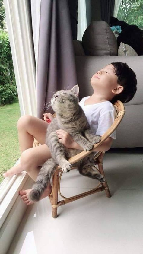 A kid and his cat relaxing. Söt Katt, Image Chat, Cute Cat Gif, I Wish I Had, Cat Gif, Beautiful Cats, 귀여운 동물, Animals Friends, Crazy Cats