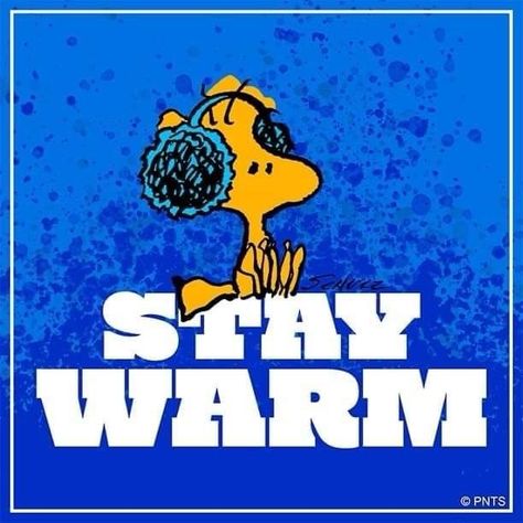 Cold Humor, Warm Quotes, Goodnight Snoopy, Saturday Greetings, Charlie Brown Quotes, Good Morning Winter, Good Morning Snoopy, Woodstock Peanuts, Snoopy Cartoon