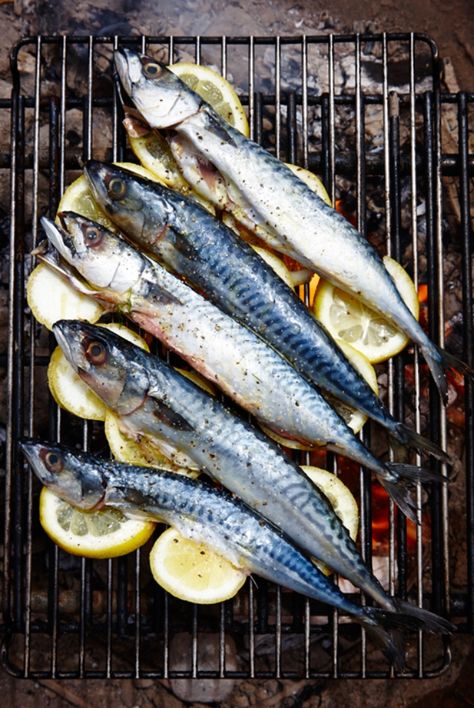 Lemon Grilled Mackerel — Kitchen Repertoire Salt And Pepper Fish, Sardine Recipes Canned, Grilled Mackerel, Sardine Recipes, Mackerel Recipes, Mackerel Fish, Lemon Slices, Smoked Food Recipes, Fresh Fish