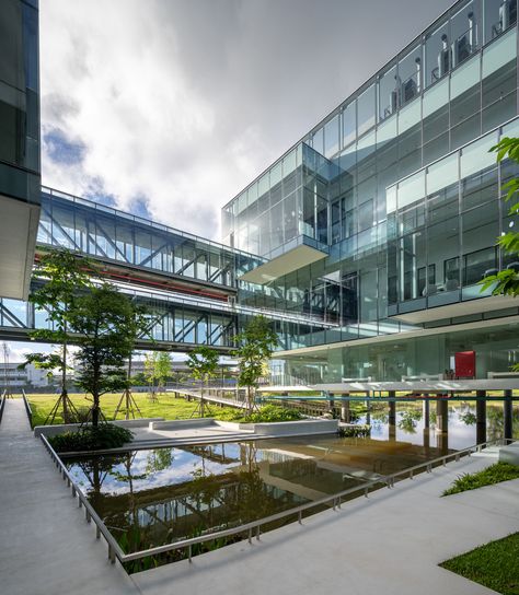 Gallery of IRPC Innovation Center / Architects 49 - 7 Innovation Centre Architecture, Tourism Center Architecture, Innovation Center Design, Tropical Climate Architecture, Leisure Center Architecture, Innovation Hub Architecture, Resource Center Design, Innovation Center Architecture, Student Center Architecture