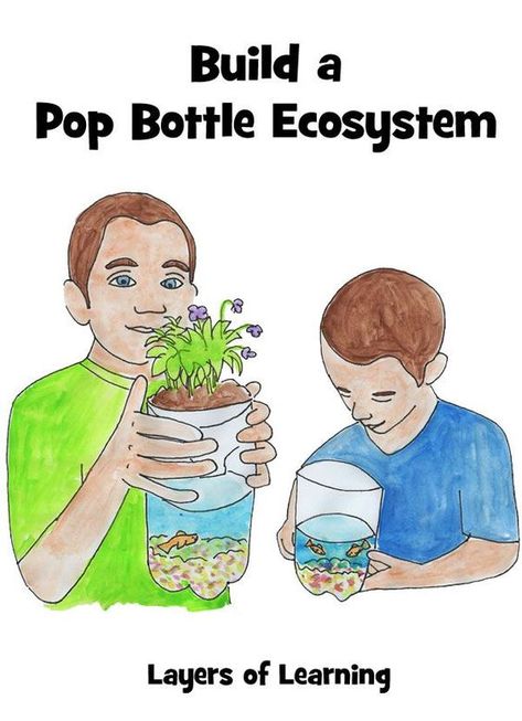 Build a miniature ecosystem in a pop bottle to show kids how living and non-living parts of the environment are connected. Ecosystems Projects Grade 7, Bottle Ecosystem, Wetlands Activities, Ecology Activities, Birds Activities, Ecosystem In A Bottle, Ecosystem Activities, Homeschool Science Lessons, Cloud Activities