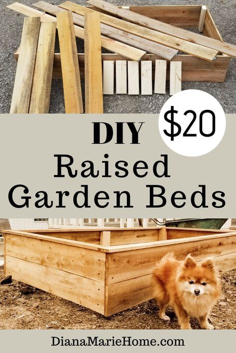 Feb 2, 2023 - Diana Marie Home: A DIY raised garden bed makes gardening tasks much easier.  I will show you how I make my DIY raised beds on a budget. Garden Beds Diy, Cheap Raised Garden Beds, Diy Raised Garden Bed, Raised Garden Beds Diy Vegetables, Garden Bed Layout, Beds Ideas, Beds Diy, Raised Garden Bed Plans, Diy Garden Bed