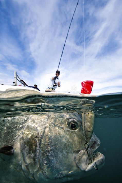 Giant Trevally, Kayak Fishing Diy, Fishing Diy, Mini Trucks, Ice Fishing, Kayak Fishing, The Fly, Fishing Boats, Fishing Lures