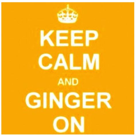 Ginger Ginger Hair Funny, Ginger Funny, Ginger Jokes Humor, Ginger Sayings Redhead Quotes, Ginger Jokes, Ginger Meme, Ginger Humor, Hair Jokes, Ginger Memes Funny