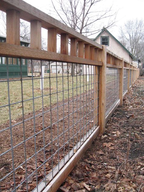 Cheap Garden fence idea ... The metal mesh is cattle panel.  Strong enough to last and to pull growing ivy & vines off of. Cattle Panel Fence, Cheap Garden Fencing, Cattle Panels, Cheap Fence, Cheap Backyard, Privacy Fence Designs, Garden Vines, Backyard Privacy, Ideas Backyard