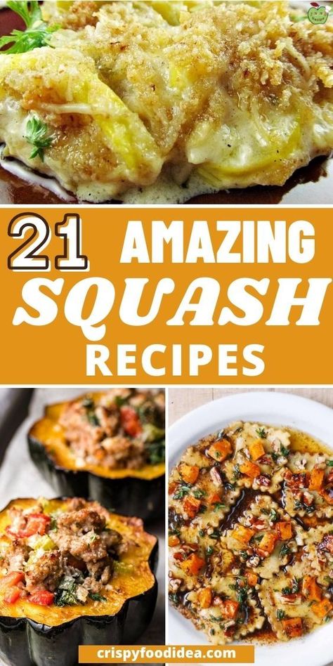 Here you get some squash recipes that are best for meal plan and breakfast. Easy Squash Recipes, Creamy Orzo Pasta, Sausage Stuffed Acorn Squash, Parmesan Spaghetti Squash, Butternut Squash Casserole, Buttercup Squash, Winter Squash Recipes, Spaghetti Squash Lasagna, Yellow Zucchini