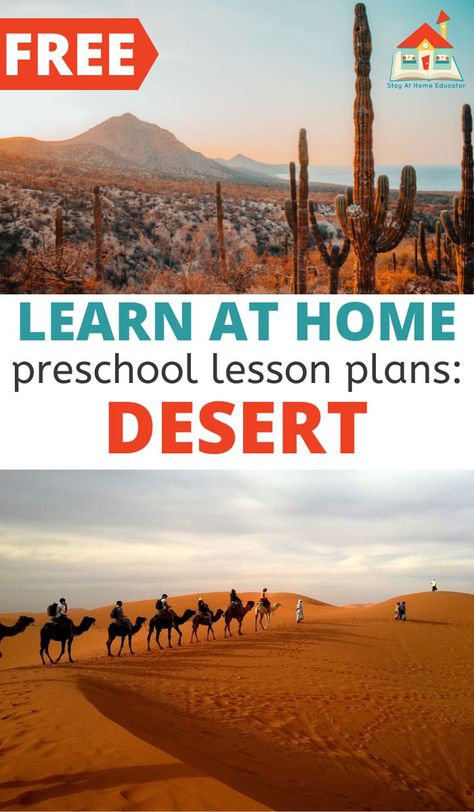 Grab these free desert preschool lesson plans filled with academic activities including math, science, art, social-emotional, and literacy. Perfect for use with homeschool preschool or classroom learning. Snag these free desert preschool lesson plans and make planning your desert unit a breeze! Desert Homeschool Unit, Desert Theme Preschool Activities, Desert Habitat Preschool, Preschool Desert Theme, Desert Crafts For Toddlers, Desert Science Experiments For Kids, Preschool Desert Activities, Desert Activities For Preschool, Desert Crafts Preschool