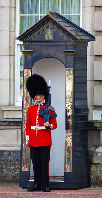 Queen's Guard Kings Guard, Coronation Party, British Guard, Royal Guards, Coldstream Guards, Queens Guard, Hm The Queen, Royal Blood, Royal Guard