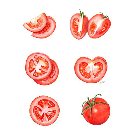 Tomato Cross Section, Tomato Slice Drawing, Tomato Doodle, Draw Tomato, Tomatoes Illustration, Tomato Tattoo, Tomato Illustration, Tomato Drawing, Watercolor Tomatoes