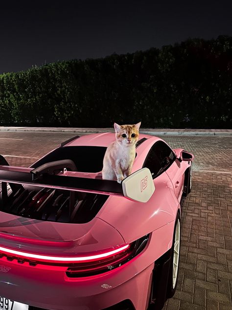 fast car kitty Sports Car Art, Girly Sports Cars, Girl Cars Aesthetic, Car Aesthetic Exterior, Pink Sports Cars, Pink Car Wallpaper, Cats And Cars, Pink Car Aesthetic, Cat In Car