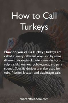 As expected turkey  As expected turkey calls are not mere vocalizations; they are specific words used by turkeys to communicate. The most favorite calls used are clucks cutts yelps cackles kee-kees purrs gobbles and putts. Thunder Chicken, When Everything Falls Apart, Turkey Calls, Deer Hunting Tips, Hunting Quotes, Turkey Calling, Big Buck, Hunting Bow, Night Vision Goggles