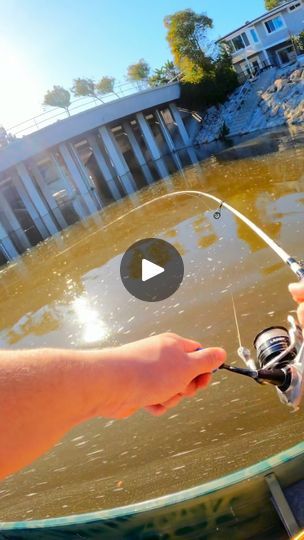 Striper Fishing, Trending Reels, Fishing Bait, Viral Trend, Fishing Tips, Tips Tricks, Hunting, It Cast, Fish