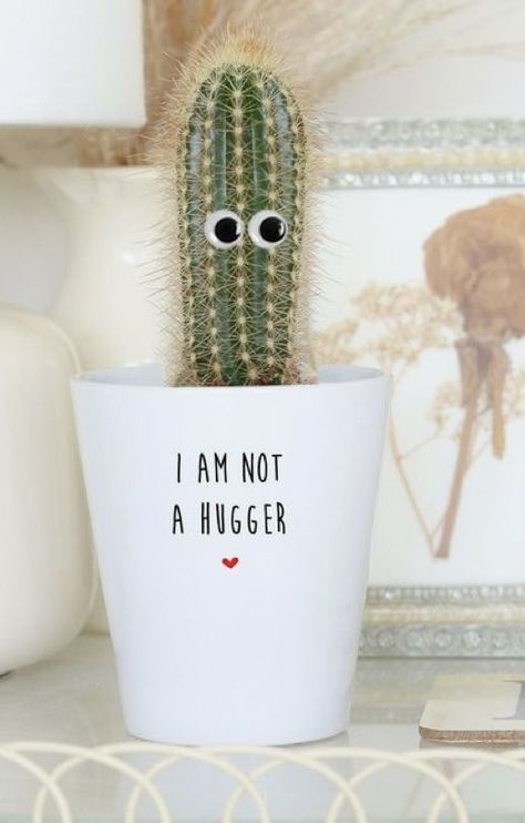 Funny Plant Pot Sayings, Cricut Plant Pot Ideas, Pot Planting Ideas, Potted Plants Indoor, Decorating Pots, Outdoor Potted Plants, Plant Decor Ideas, Plant Pots Crafts, Not A Hugger