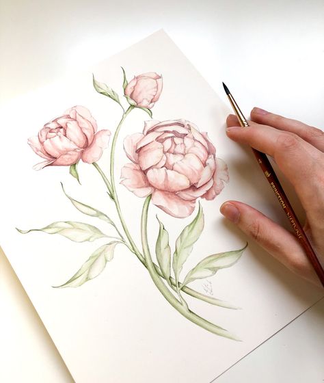 Loose Watercolor Peony - Watercolor Tutorial for Beginners — Blushed Design Watercolor Flowers Realistic, Peony Leaves Drawing, How To Draw Peony, Watercolor Poppy Flower, Peony Drawing Tutorial, Draw Peonies, Composition Guide, Peony Watercolor Painting, Peony Tutorial