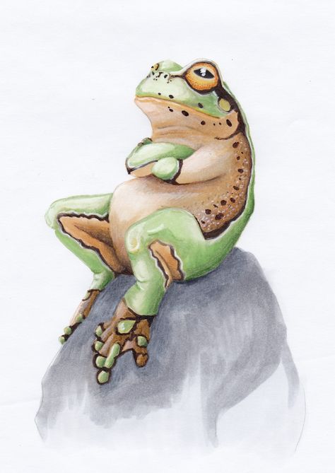 Frog On A Rock Drawing, Frog Sitting, Copic Sketch, Green Earth, Diy Art Painting, A Rock, Illustration Drawing, Animal Illustration, Rock Art