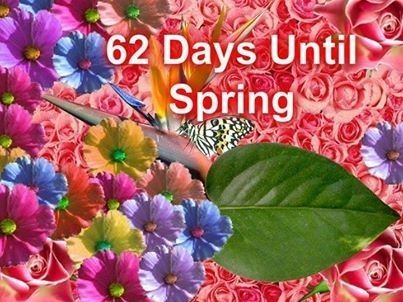 62 Days Till Spring quotes spring quote flowers spring quotes spring countdown Spring Quotes Flowers, Days Till Spring, Quotes Spring, Days Until Spring, Spring Quote, Optavia Recipes, Spring Quotes, Spring Pictures, Flowers Spring