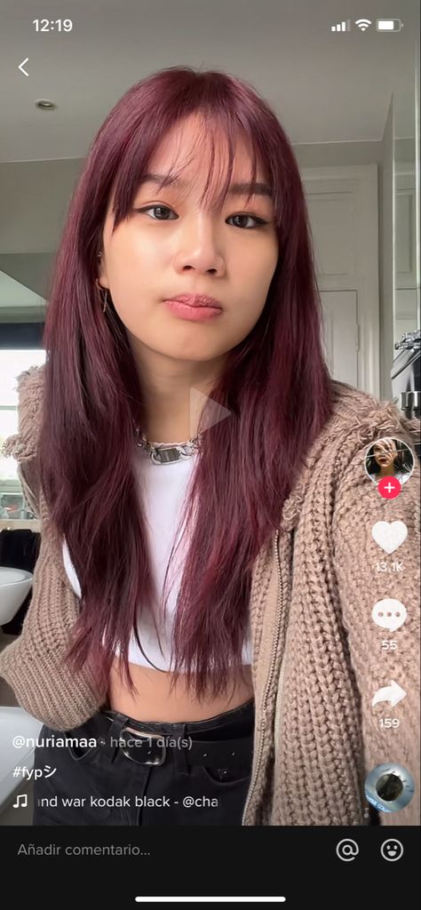 Burgundy Tinted Hair, Maroon Tinted Hair, Asian With Dark Red Hair, Dyed Hair On Asians, Cherry Red Asian Hair, Asian Red Hair Short, Burgundy Asian Hair, Dark Red Hair On Asian, Dark Red Hair Color Medium Length