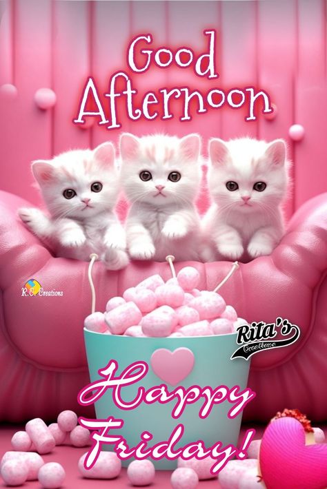 Good Afternoon Happy Friday, Good Afternoon Friday, Happy Friday Afternoon, Good Friday Afternoon, Good Afternoon My Love, Afternoon Wishes, Good Friday Quotes, Good Afternoon Quotes, Afternoon Quotes