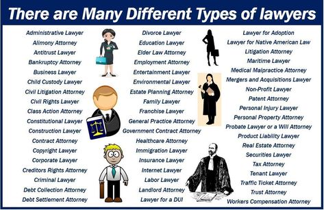 Different Types Of Lawyers, Types Of Lawyers, Paralegal Studies, Law School Organization, Future Attorney, Law School Preparation, Law Study, Law Career, Law School Prep