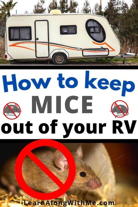 How to Keep Mice OUT of your Camper (easy tips and tactics) - Learn Along with Me Keep Mice Out Of Camper, Small Space Storage Solutions, Rodent Repellent, Mice Repellent, Camper Organization, Camper Hacks, Rv Organization, Camper Storage, Rv Storage