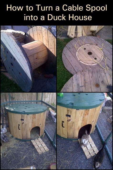 Floating Duck House For Pond, Small Duck Enclosure, Duck Lean To, Duck House From Pallets, Duck House Out Of Pallets, Diy Duck Ramp For Pool, Duck Pin Ideas, How To Build A Duck House, Pet Duck House