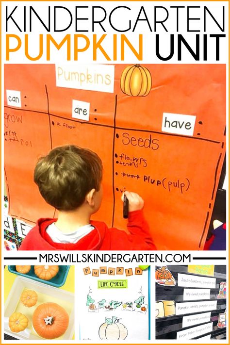 Looking for some ideas and resources that will help you put together the perfect pumpkin unit? In this post, I share some ideas for pumpkin read alouds, plus activities for learning about parts of a pumpkin and the pumpkin life cycle. Pumpkin Inquiry Kindergarten, Pumpkins Kindergarten Activities, Pumpkin Projects For Kindergarten, Big Pumpkin Book Activities, Parts Of A Pumpkin Free Printable, Pumpkin Unit Study, Pumpkin Kindergarten Activities, Pumpkin Life Cycle Kindergarten, Pumpkin Unit Kindergarten