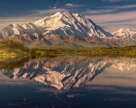 Amazing Reflections Of Mount McKinley! Photo Taken By @philokalia_ On Instagram. Mt Denali, Mount Mckinley, Denali National Park, Adventure Explore, Travel Bucket List, Dream Life, Places To See, Alaska, Lake