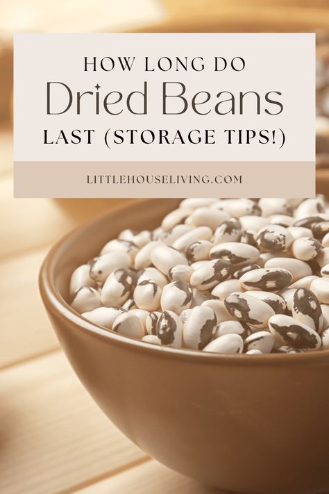 Do you want to store dried beans long-term but are not sure the best way to store them? Just how long do dried beans last? Let's learn together today so that you can build your stockpile tomorrow! How To Store Dried Beans, Drying Beans For Storage, How To Store Dry Beans Long Term, Dry Beans Recipe, Insect Eggs, Cooking Dried Beans, Soy Beans, Veggie Dinner, Canned Vegetables