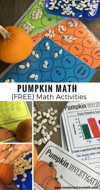 Pumpkin Math Investigations - Are you looking for hands-on Fall math activities? Try this fun pumpkin themed idea. Estimate, count, compare and graph pumpkin seeds. Fun for kindergarten, 1st and 2nd graders. Pumpkin Seed Activities, Pumpkin Math Activities, Pumpkin Lessons, Maths Investigations, Fall Math Activities, Pumpkin Math, Pumpkin Activities, Fall Math, Halloween Math