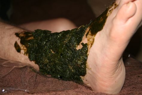 Comfrey Poultice, Bone Healing Foods, Homemade Healing Salve, Heal Broken Bones, Bone Healing, Medicinal Herbs Garden, Broken Ankle, Healing Salves, Food Medicine