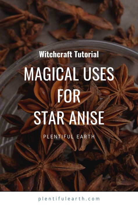 Magical Properties Of Star Anise, How To Use Star Anise, Anise Star Recipes, Star Anise Witchcraft, Spiritual Hobbies, Star Anise Magical Properties, Spell Times, Star Anise Benefits, Herb Spells