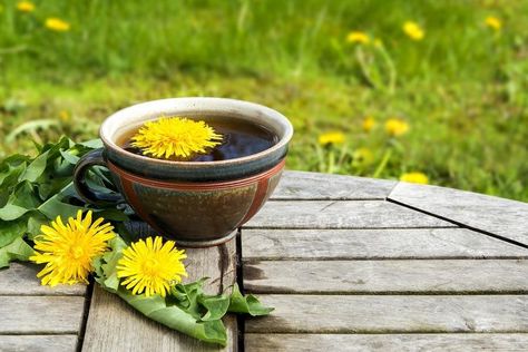 ✔ Top 4 New Year’s Resolution "Foodie Flops” Solved | Dr. Kellyann Dandelion Coffee, Kidney Detox Cleanse, Dandelion Benefits, Detoxifying Food, Dandelion Root Tea, Detox Kur, Dandelion Tea, Taraxacum Officinale, Kidney Cleanse