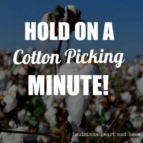 Southern Saying - Take the g off of "pickin" though :) Cotton Picking, Southern Talk, Southern Words, Southern Expressions, Southern Phrases, Southern Humor, Southern Slang, Southern Grace, Southern Pride