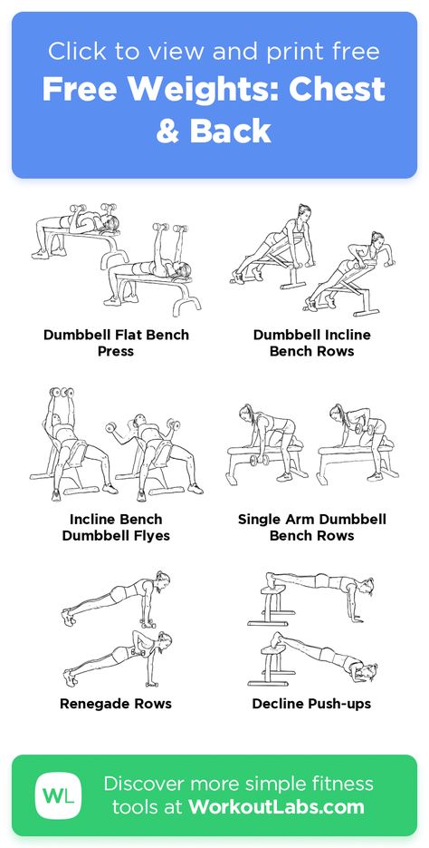 Free Workout: Free Weights: Chest & Back · WorkoutLabs Fit Chest Free Weight Workout, Chest Workout Free Weights, Low Impact Chest Workout, Weighted Chest Workout, Chest Workout Weights, Weight Lighting Workout, Back Workout Free Weights, Chest And Back Dumbbell Workout, Chest Dumbbell Workout Women