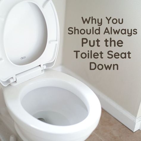 Yes, the toilet lid must be put down after use. It may seem like a silly rule, but it makes sense: when you flush without the toilet lid down, bacteria fill the air. Slow Flushing Toilet, How To Paint Behind A Toilet, Toilet Bowl Ring, Toilet Plumbing, Toilet Bowl Stains, Toilet Drain, Toilet Flush, Toilet Repair, Low Water Pressure