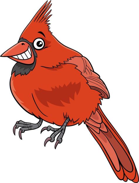 northern red cardinal bird animal character cartoon illustration Red Cardinal Bird, Animal Character, Cardinal Bird, Character Cartoon, Illustration Cartoon, Cardinal Birds, Red Cardinal, Cartoon Illustration, Cartoon Character