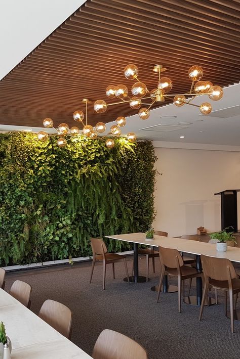 Greenwall Interior Design, Mental Health Clinic Interior Design, Greenwall Interior, Wellness Center Design Interiors, Health Interior Design, Holistic Clinic, Wellness Center Design, Living Wall Indoor, Healthcare Interior Design