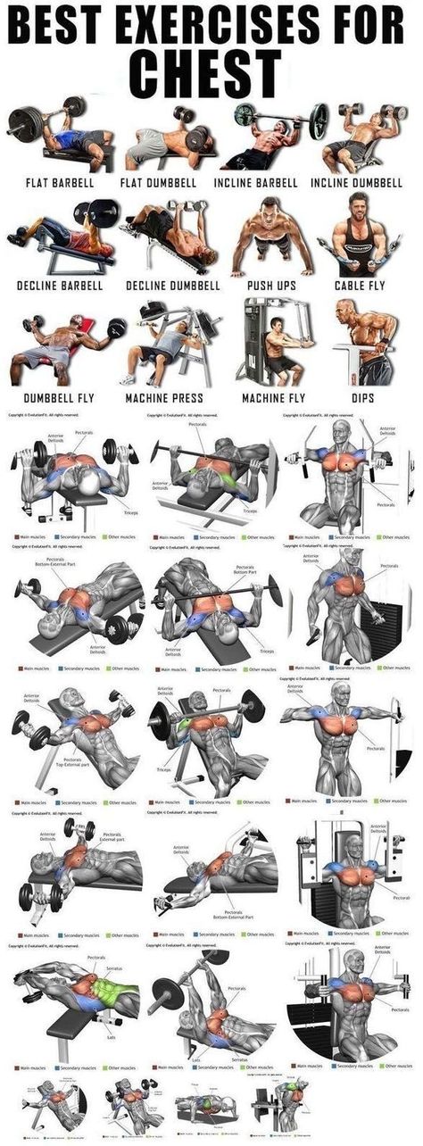 Exercises For Chest, Gym Chest Workout, Chest Workout For Men, Chest Workout Routine, Gym Workout Guide, Latihan Dada, Best Chest Workout, Gym Workout Planner, Bodybuilding Workout Plan